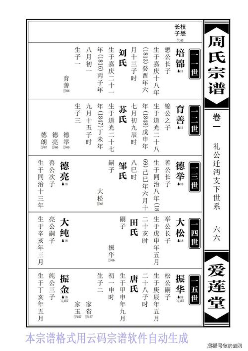电子家谱：揭开家族历史的神秘面纱